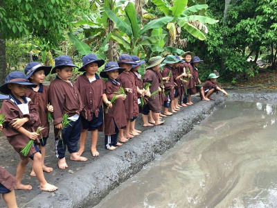 Một ngày làm nông dân thực thụ ở nông trại Tree