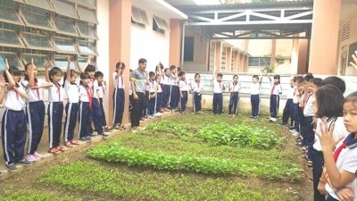 HOẠT ĐỘNG TRẢI NGHIỆM NĂM 2019 Ở TRƯỜNG TIỂU HỌC PHÚ HÒA 3