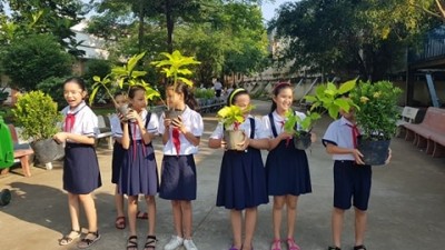 HOẠT ĐỘNG TRẢI NGHIỆM THẦY CÔ GIÁO CÙNG CÁC EM HỌC SINH TRỒNG CÂY Ở TRƯỜNG TIỂU HỌC PHÚ HÒA 3