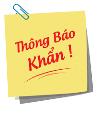 Hướng dẫn khai báo y tế phòng, chống dịch Covid-19